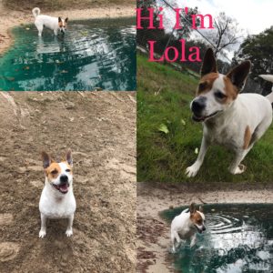 Lola