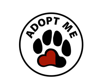 adopt me