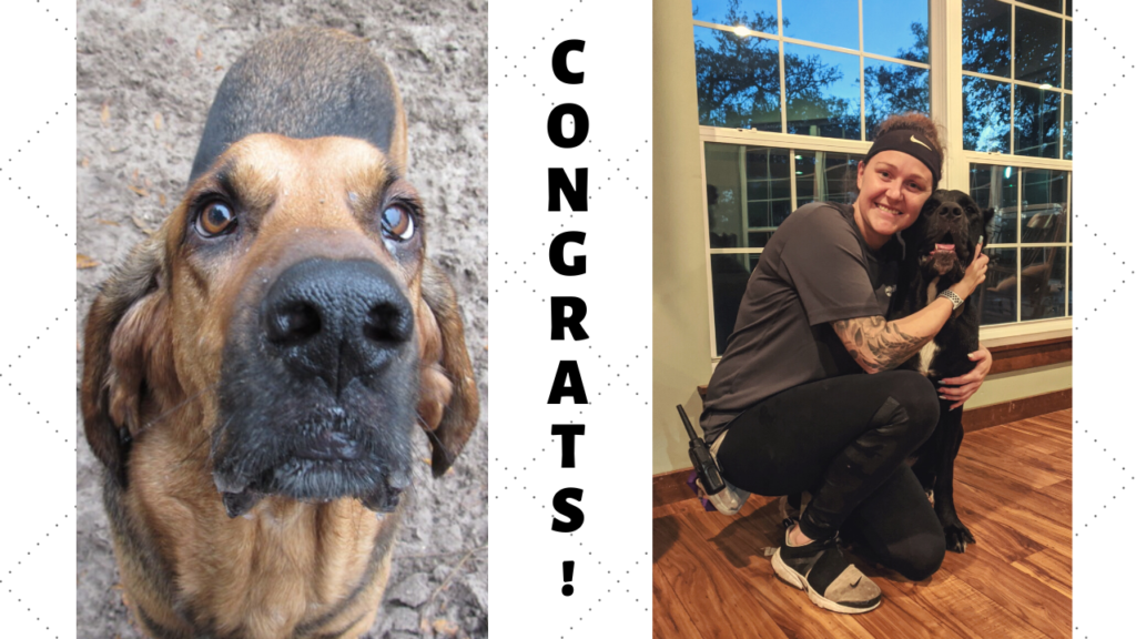Congrats!