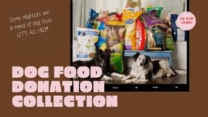 dog food