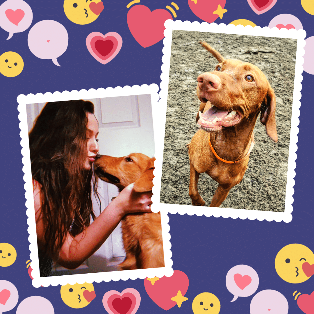 Liz and Roscoe