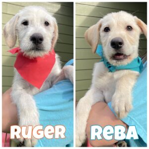 Rugar and Reba Ruger and Reba