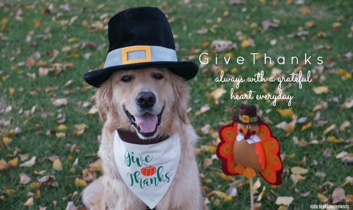 Give Thanks!