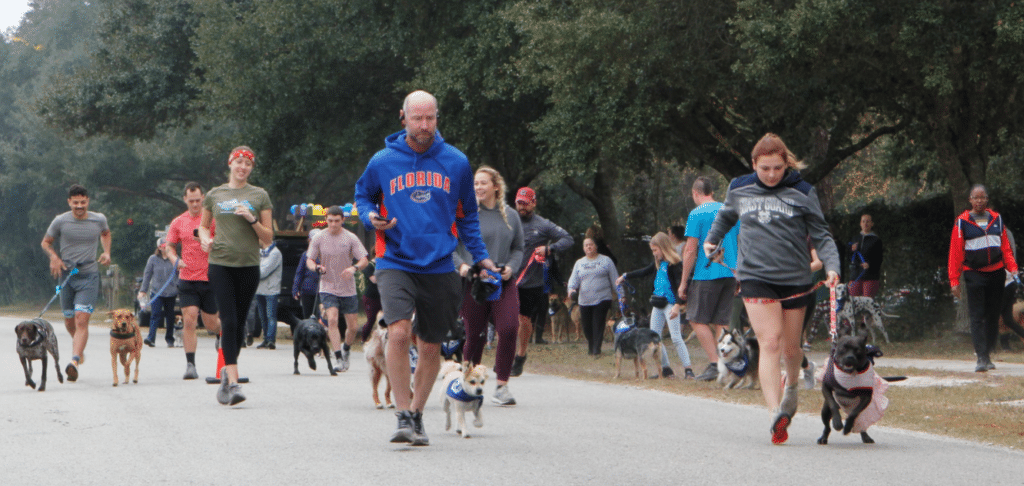 Dog Jog and Dog Park Party