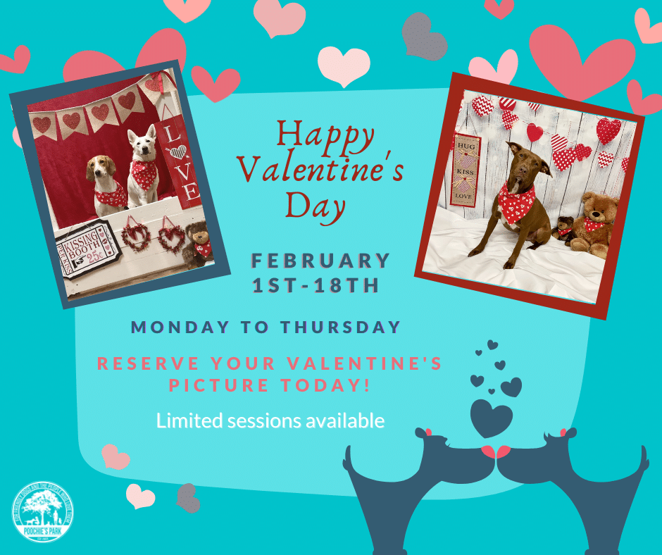Valentine's PhoDography