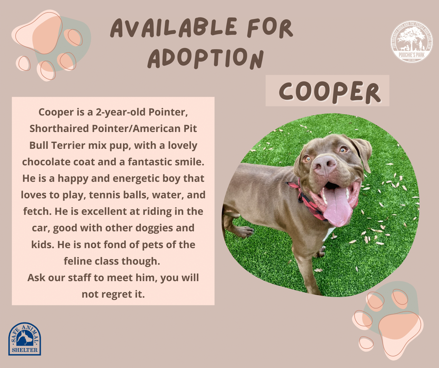 Cooper